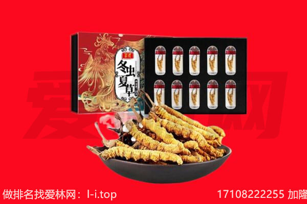 南宁市上林回收虫草.jpg